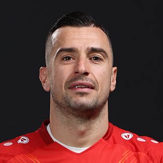nestorovski tudor